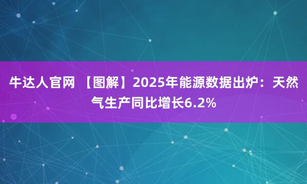 牛达人官网 【图解】2025年能源数据出炉：天然气生产同比增长6.2%